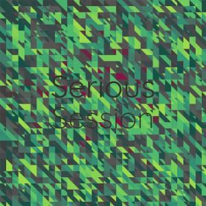 Album Serious Session from Various