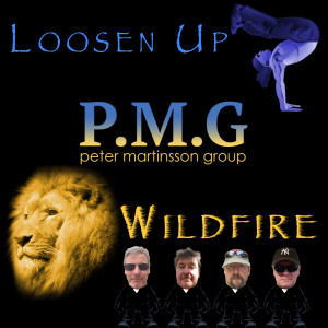 ดาวน์โหลดและฟังเพลง Wildfire พร้อมเนื้อเพลงจาก Peter Martinsson Group