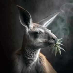 收聽jesse的Luxuriate Alive (feat. Tuong Vi)歌詞歌曲