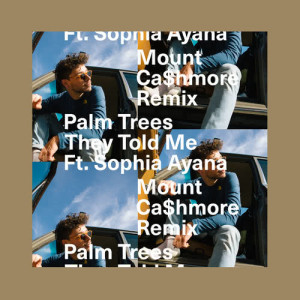 Dengarkan They Told Me ((Mount Cashmore Remix)) lagu dari Palm Trees dengan lirik