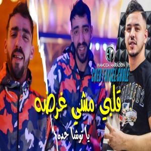 Dengarkan Galbi Machi Ghardah Ya Tocha Hadah lagu dari Cheb Faycel Chole dengan lirik