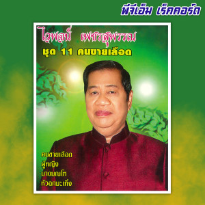 อัลบัม ชุด 11 คนขายเลือด ศิลปิน ไวพจน์ เพชรสุพรรณ