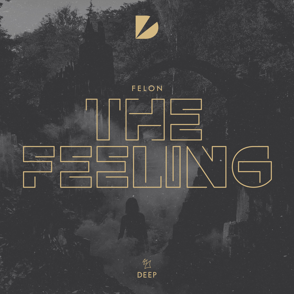 The Feeling (Extended Mix)