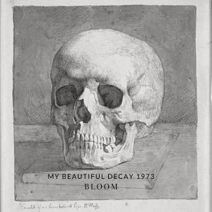 ดาวน์โหลดและฟังเพลง Kranium พร้อมเนื้อเพลงจาก My Beautiful Decay 1973