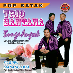 收听Trio Santana的Ubat Ni Cinta歌词歌曲