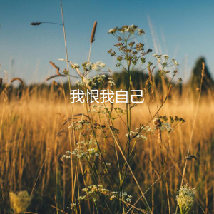 战歌的专辑我恨我自己