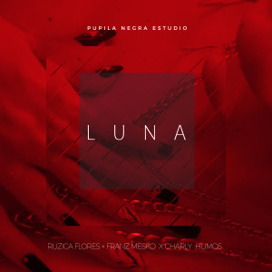 ดาวน์โหลดและฟังเพลง Luna พร้อมเนื้อเพลงจาก Charly Humos