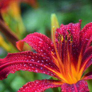 Dengarkan Keep On lagu dari Meditación Maestro dengan lirik