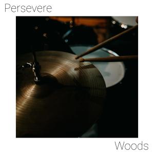 Album Persevere from Woods