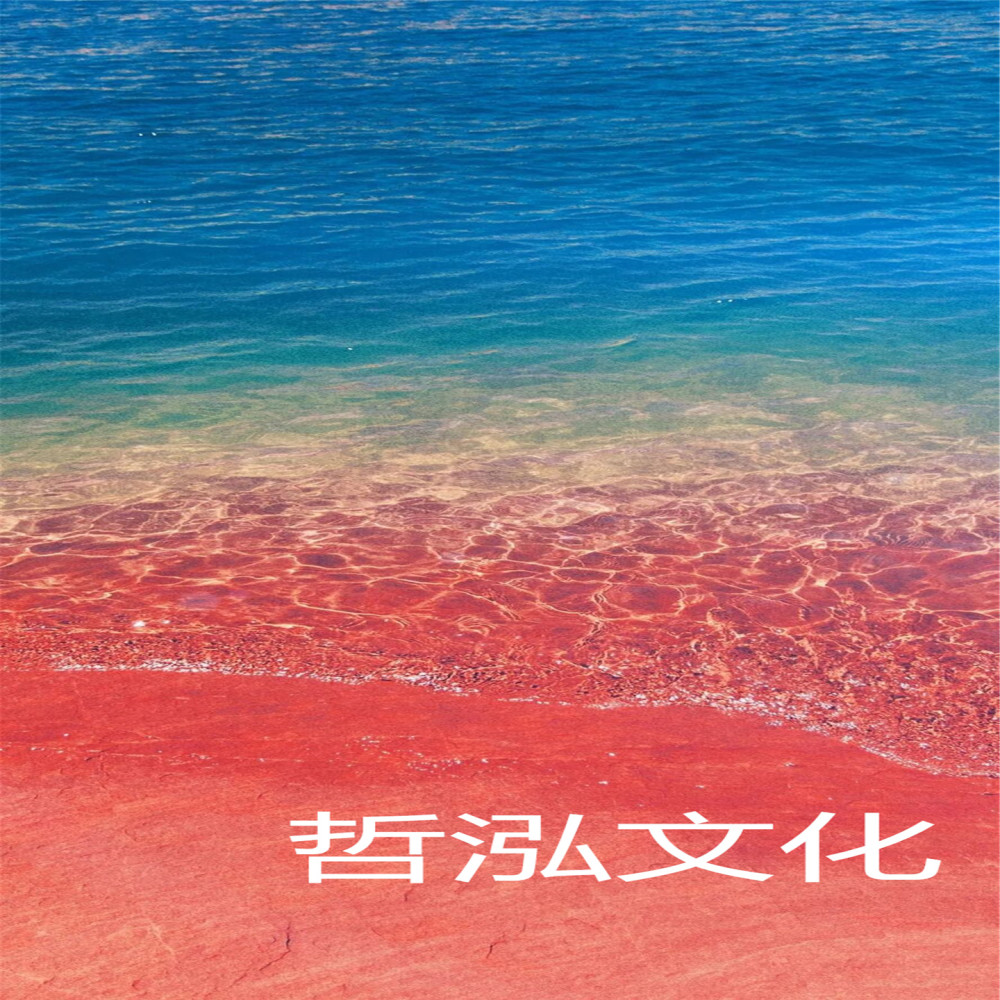 孤独的人总是喝酒