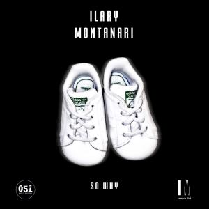 Ilary Montanari的專輯So why (Extended Mix)