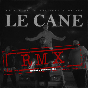 Album LE CANE (RMX) (Explicit) from 