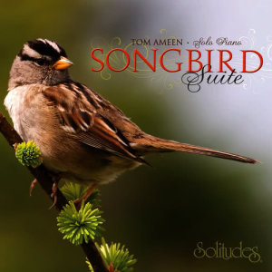 Tom Ameen的專輯Songbird Suite
