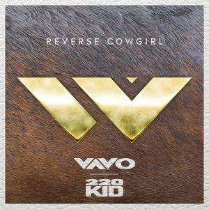 收聽VAVO的Reverse Cowgirl歌詞歌曲