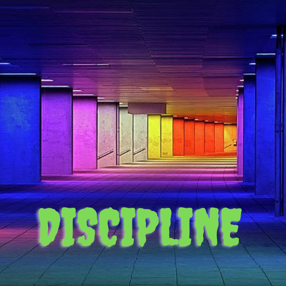 Discipline