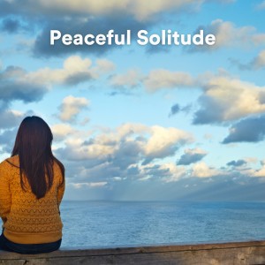 Album Peaceful Solitude from Piano for Studying