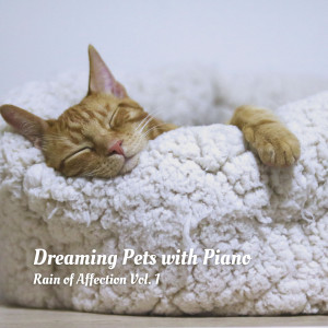 Album Dreaming Pets with Piano: Rain of Affection Vol. 1 from Sounds Dogs Love