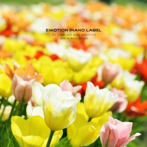 Listen to Freesia fragrance song with lyrics from 다래