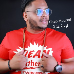 Album لوحة فنية from Cheb Mourad