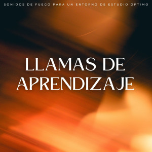 Música Relajante Para Leer的专辑Llamas De Aprendizaje: Sonidos De Fuego Para Un Entorno De Estudio Óptimo