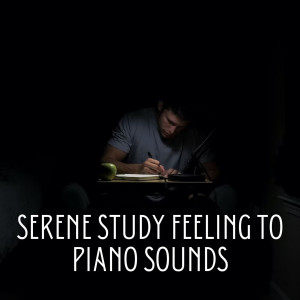 Serene Study Feeling to Piano Sounds