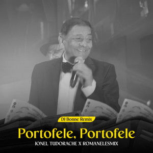 Listen to Portofele, portofele (DJ Bonne Remix) song with lyrics from Ionel Tudorache