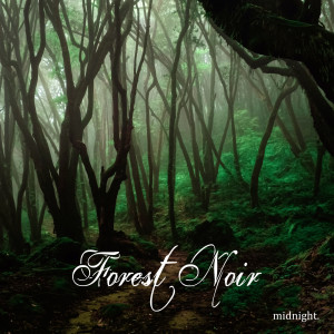 Album Midnight from Forest Noir