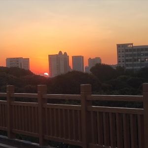 Listen to 春风十里报新年 (DJ) song with lyrics from 吕口口