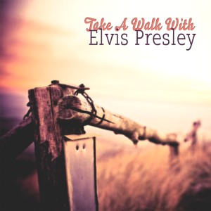 ดาวน์โหลดและฟังเพลง Take My Hand, Precious Lord พร้อมเนื้อเพลงจาก Elvis Presley