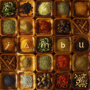 ดาวน์โหลดและฟังเพลง Madrugada พร้อมเนื้อเพลงจาก Jambu