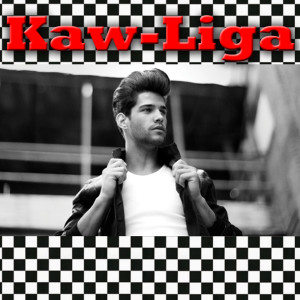 Listen to Kaw-Liga song with lyrics from Johnny Burnette