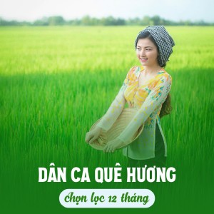 Album Dân ca quê hương chọn lọc 12 tháng from Beat Chất Lượng Cao