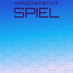 Album Wagenknecht Spiel from Various