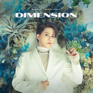 Album DIMENSION oleh 金俊秀