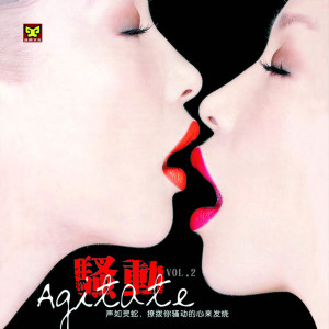 收听小玉荣子的夜夜夜歌词歌曲
