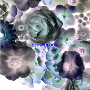 收聽Alpines的Alright (Slow Bloom)歌詞歌曲