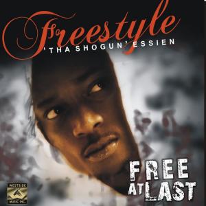 Dengarkan lagu Lets Get Down nyanyian Freesytle Essein dengan lirik