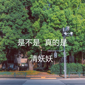 收聽清妖妖的是不是 真的是歌詞歌曲
