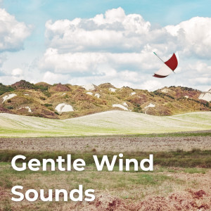 Drifting Streams的專輯Gentle Wind Sounds