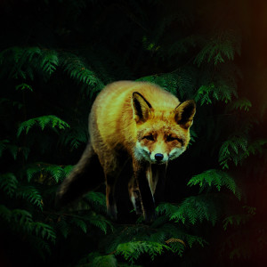 收聽Between the Rain的Fox歌詞歌曲
