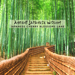 ดาวน์โหลดและฟังเพลง Fuji Meditation พร้อมเนื้อเพลงจาก Japanese Zen Shakuhachi