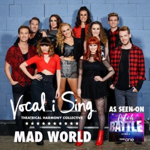 收聽Vocal-i-Sing的Mad World歌詞歌曲