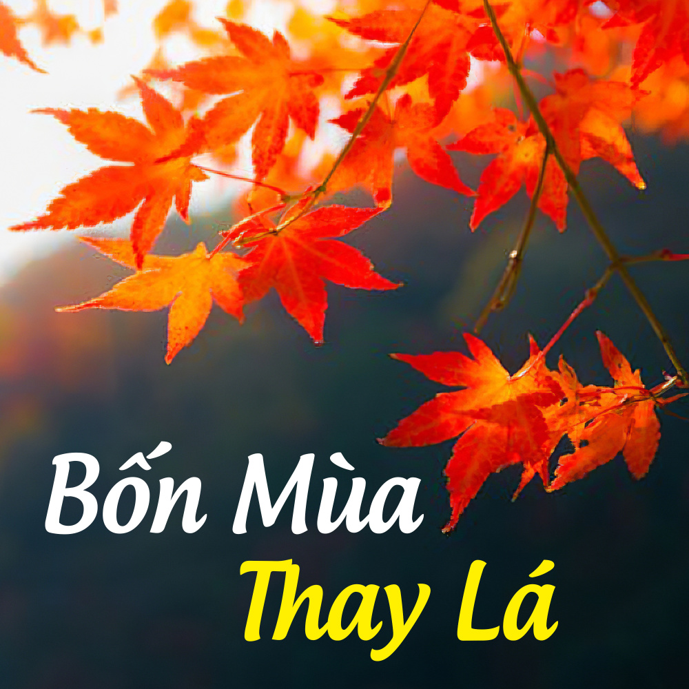 Cơn mưa bất chợt