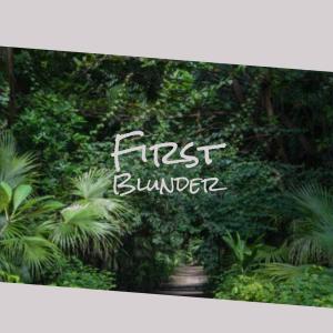 Listen to First Blunder song with lyrics from Jonal Miia
