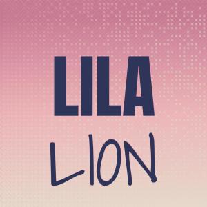 Various Artists的专辑Lila Lion