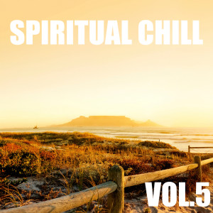 The Sleepers的专辑Spiritual Chill, Vol.5
