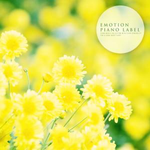 ดาวน์โหลดและฟังเพลง Our Promise Is Unchanged พร้อมเนื้อเพลงจาก Sophia Choi