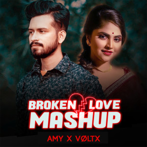 Album Broken Love (Mashup) from AMY x VØLTX