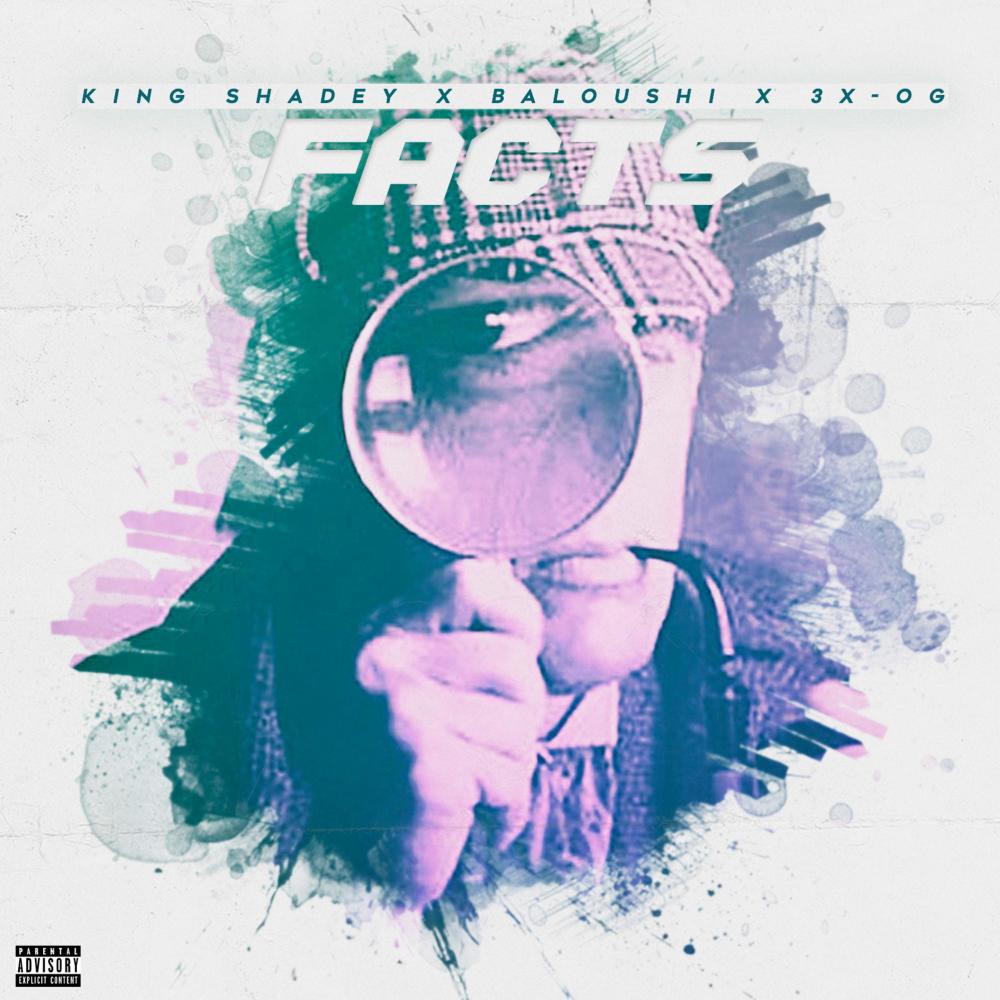 Facts (feat. MobfamEnt KingShadey & Baloushi) (Explicit)