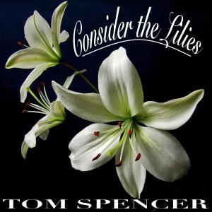 收聽Tom Spencer的Consider the Lilies歌詞歌曲